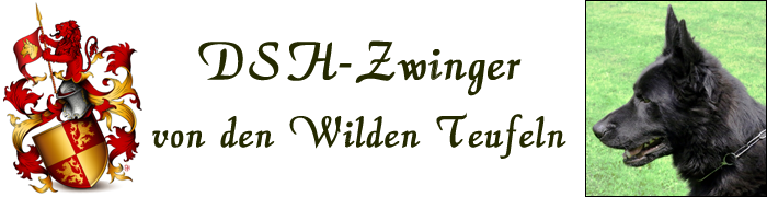 DSH Zwinger von den Wilden Teufeln